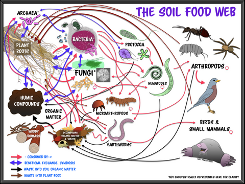 Regenerative Soil - Latest Edition: The Science and Solutions - HARDCOVER Book